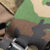 M81 Woodland